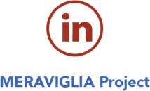 social_meraviglia_linkedin social_meraviglia_linkedin